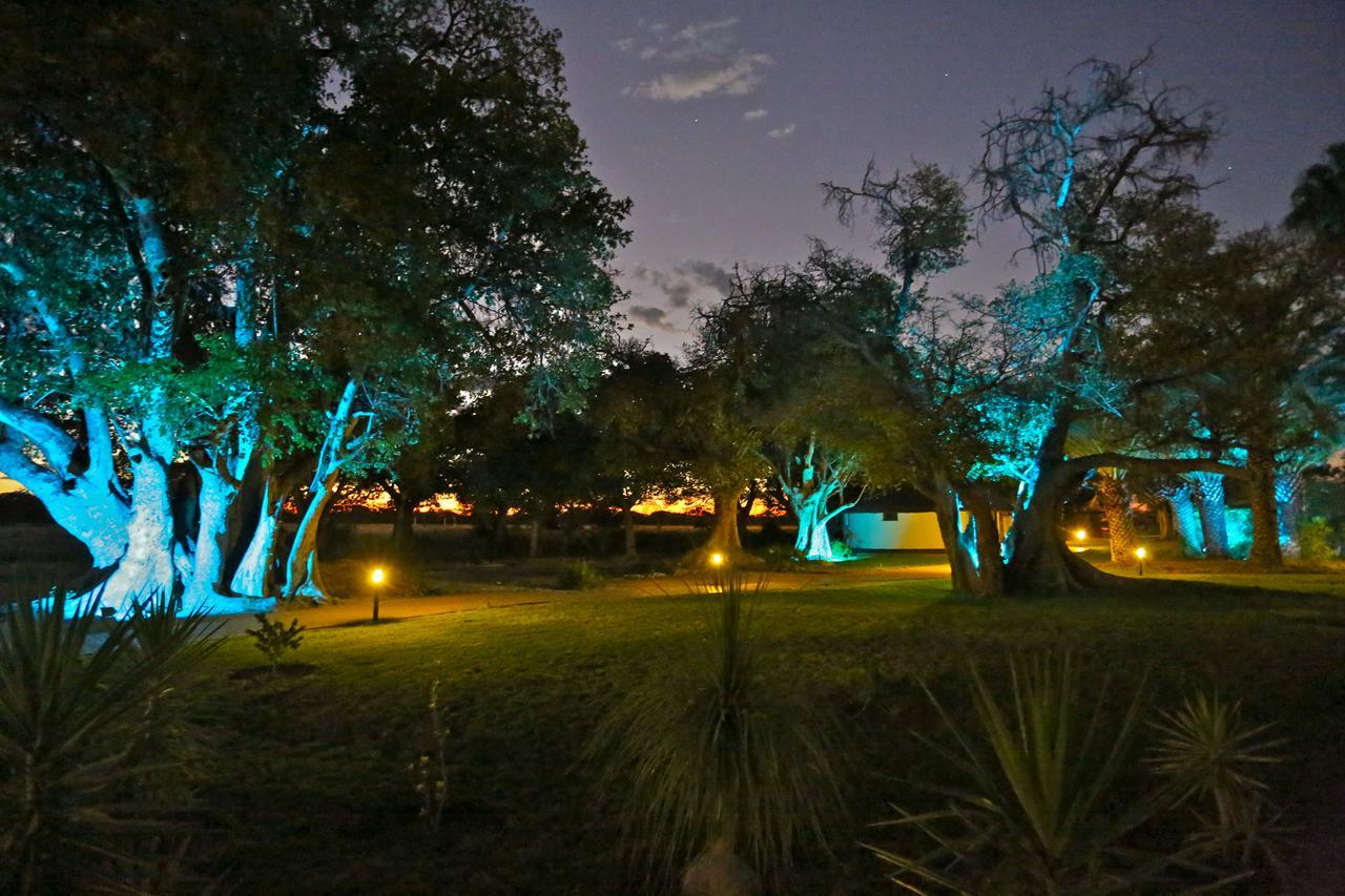 La Rochelle Lodge Okaukuejo Dış mekan fotoğraf